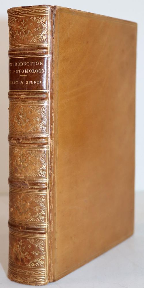 Große Abbildung Nr.2: 144-1455 Kirby,W. u. W.Spence.: (Zoologie, Insekten)