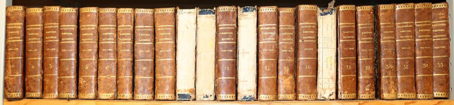 Große Abbildung Nr.2: 144-1458 Nouveau dictionnaire d'histoire naturelle,: (Zoologie)