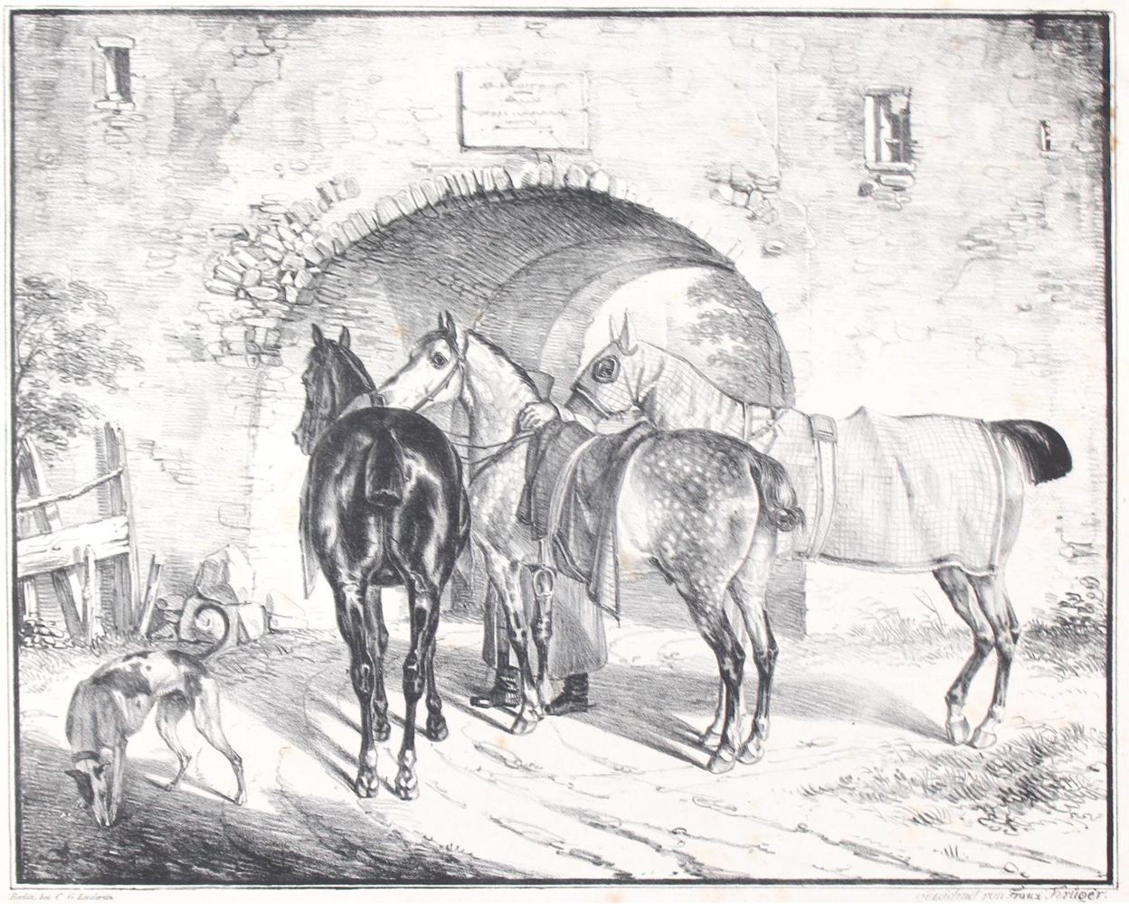 Große Abbildung Nr.1: 144-1459 Krüger, Franz: (Zoologie, Pferde)
