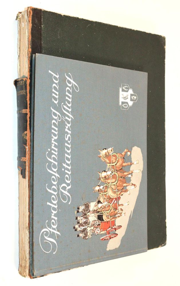Große Abbildung Nr.1: 144-1460 Leisering,A.G.T.: (Zoologie, Pferde)