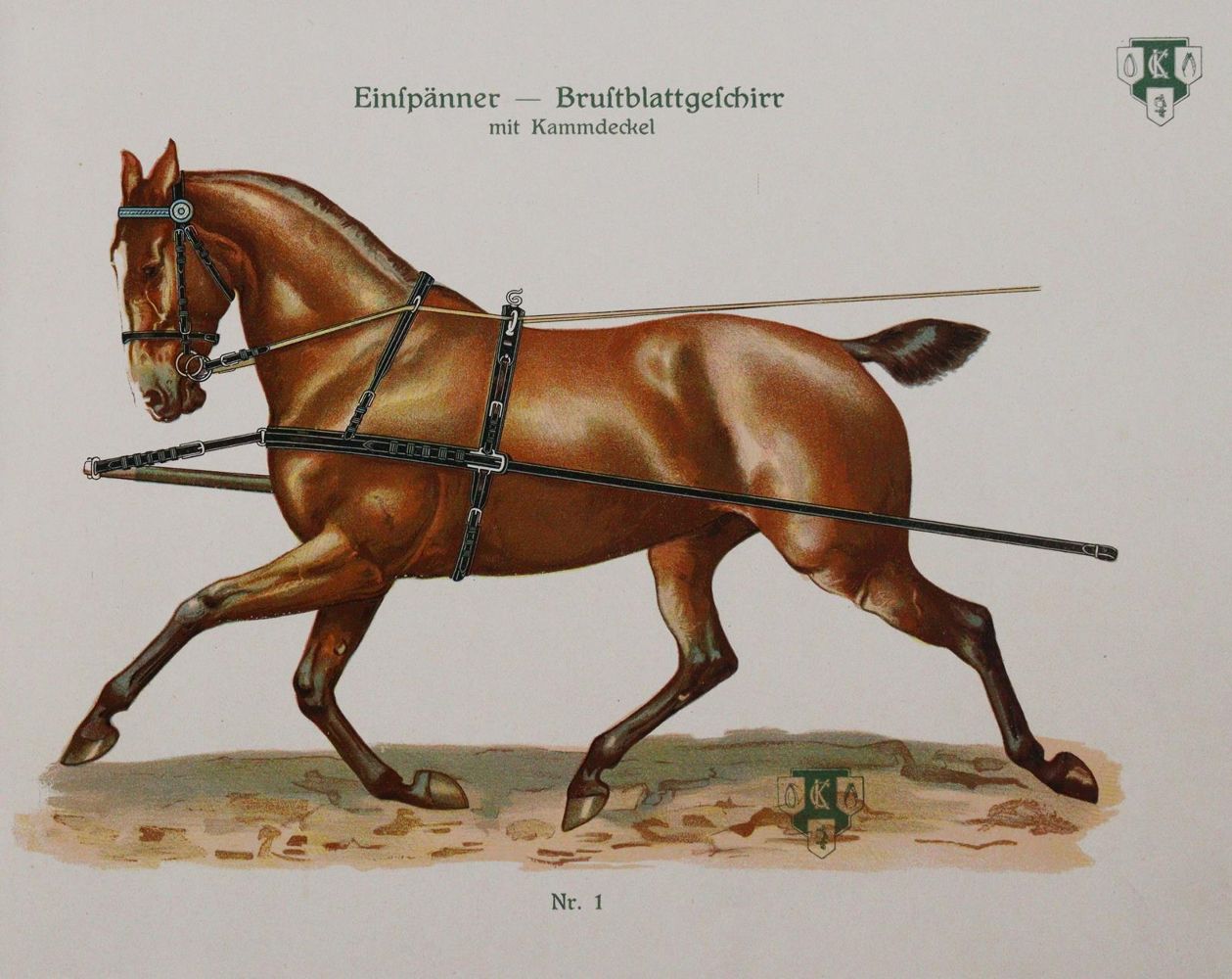 Große Abbildung Nr.3: 144-1460 Leisering,A.G.T.: (Zoologie, Pferde)