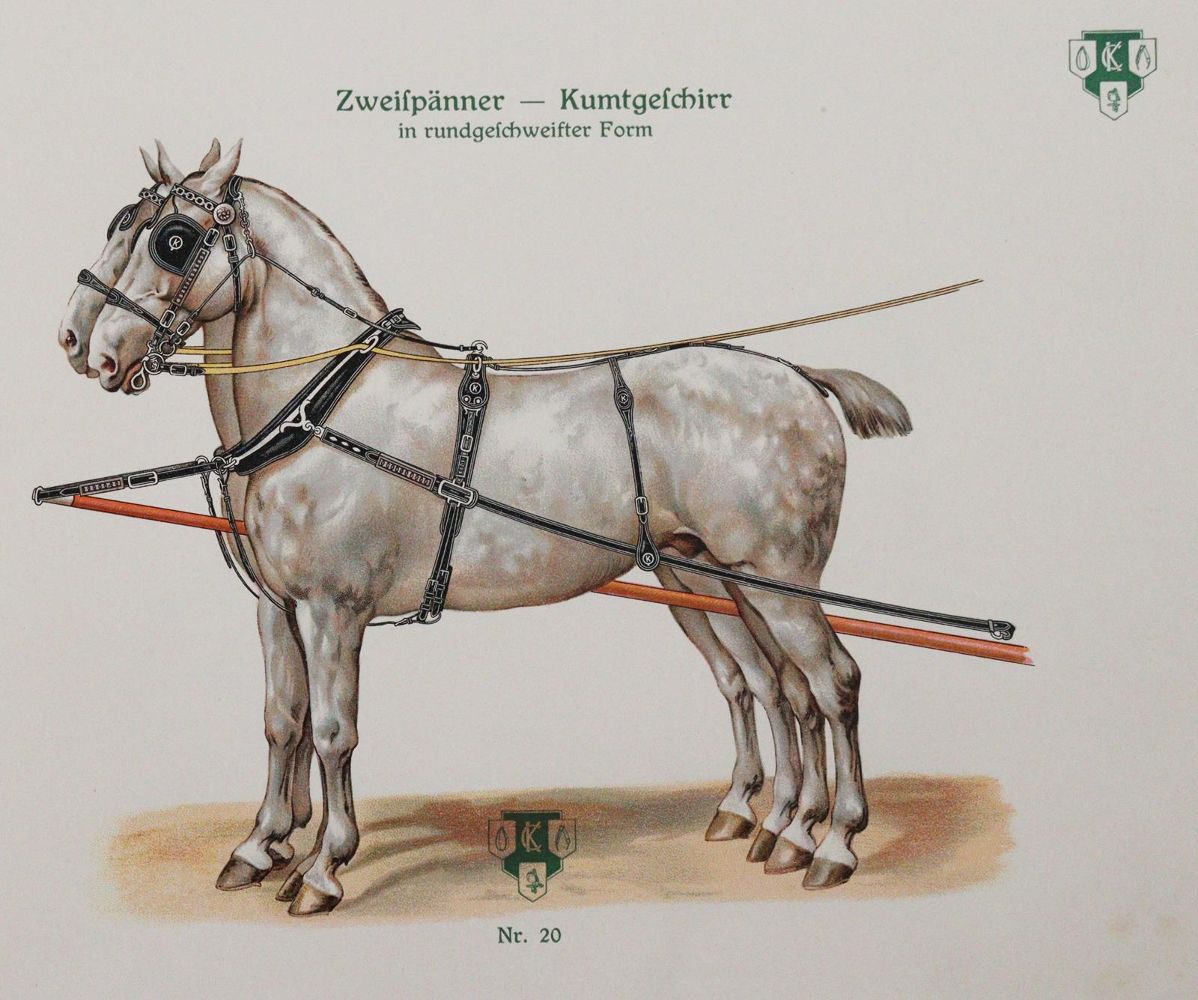 Große Abbildung Nr.5: 144-1460 Leisering,A.G.T.: (Zoologie, Pferde)