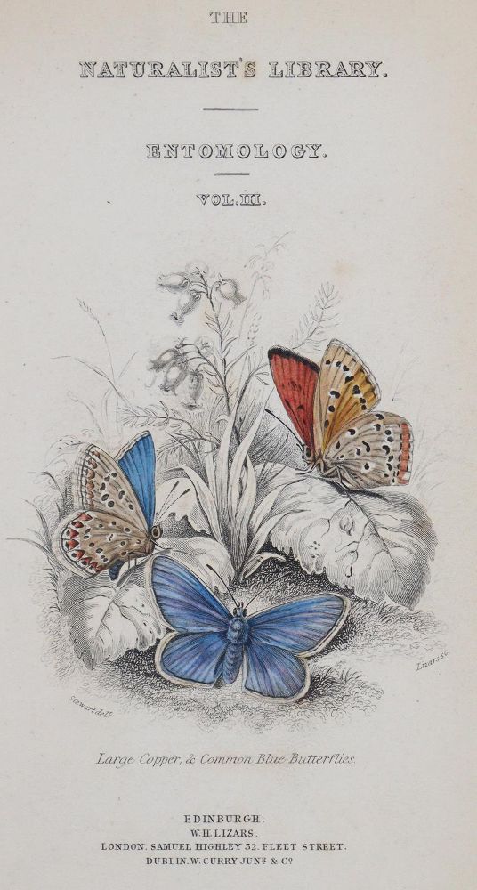 Große Abbildung Nr.1: 144-1462 Duncan,J.: (Zoologie, Schmetterlinge)