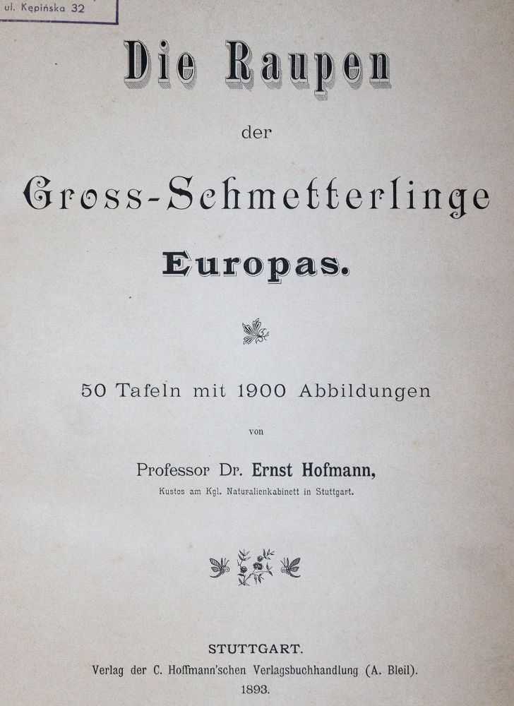 Große Abbildung Nr.1: 144-1463 Hofmann,E.: (Zoologie, Schmetterlinge)