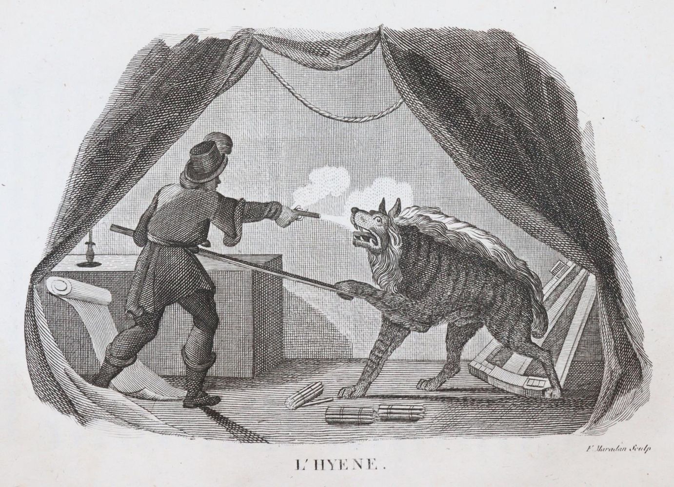 Große Abbildung Nr.2: 144-1469 Smith,T.: (Zoologie)