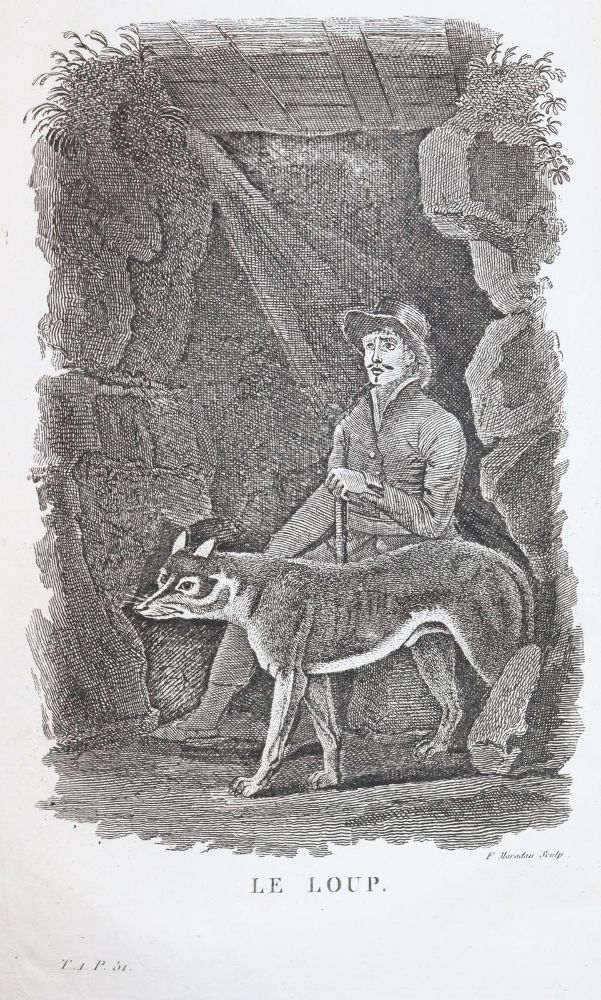 Große Abbildung Nr.3: 144-1469 Smith,T.: (Zoologie)