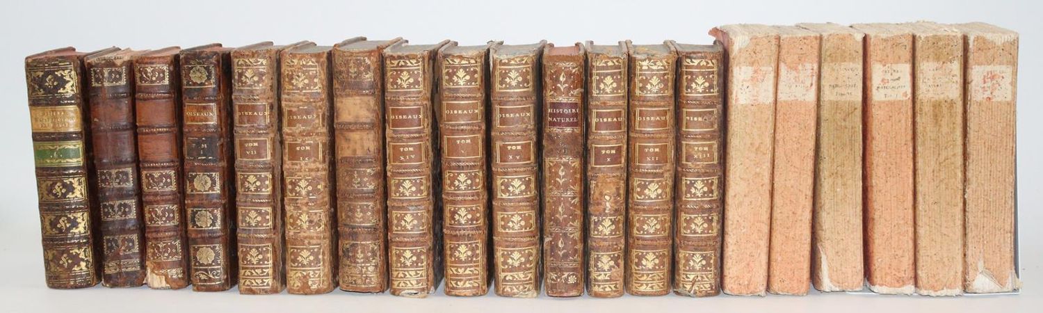 Große Abbildung Nr.7: 144-1469 Smith,T.: (Zoologie)