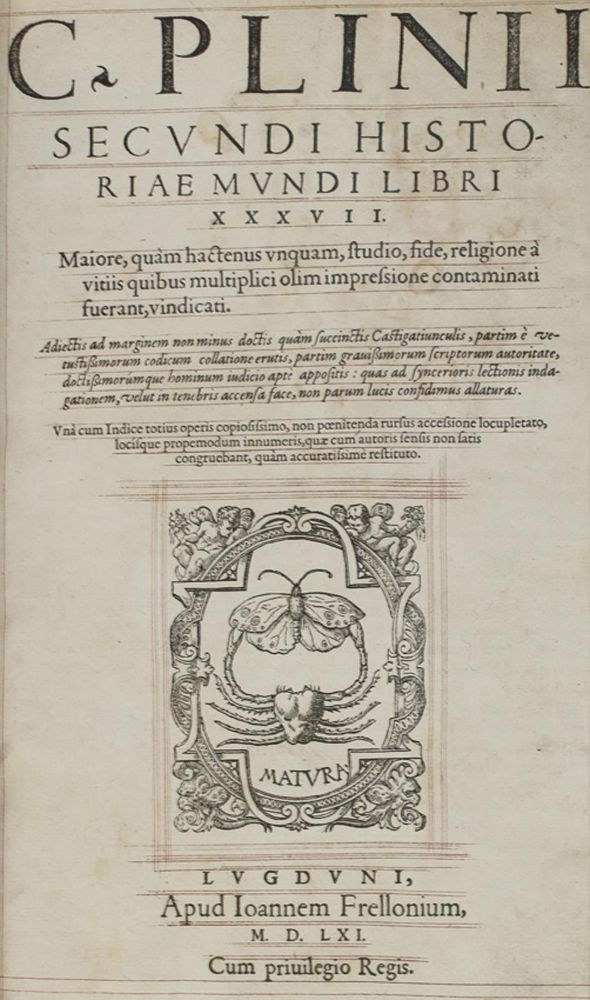 Große Abbildung Nr.1: 144-147 Plinius,C.C.S.: (Alte Drucke, Handschriften und Theologie)
