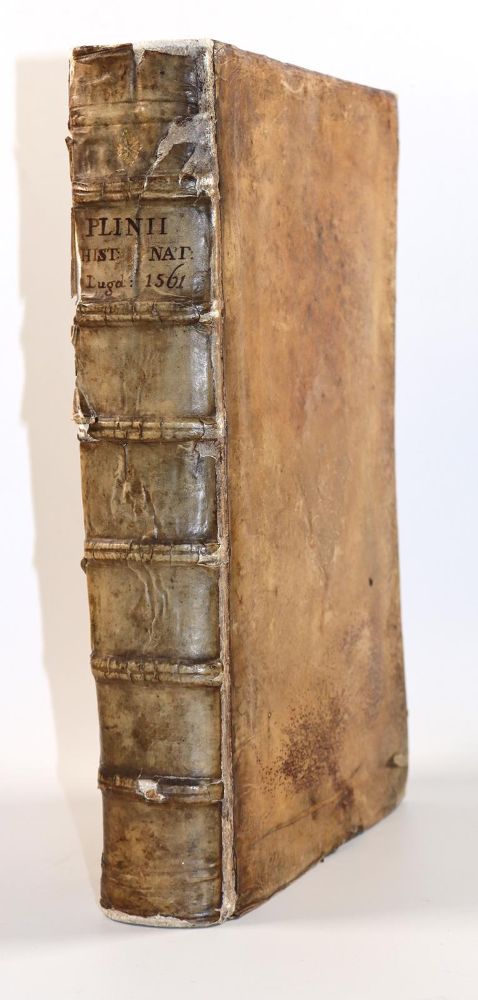 Große Abbildung Nr.2: 144-147 Plinius,C.C.S.: (Alte Drucke, Handschriften und Theologie)
