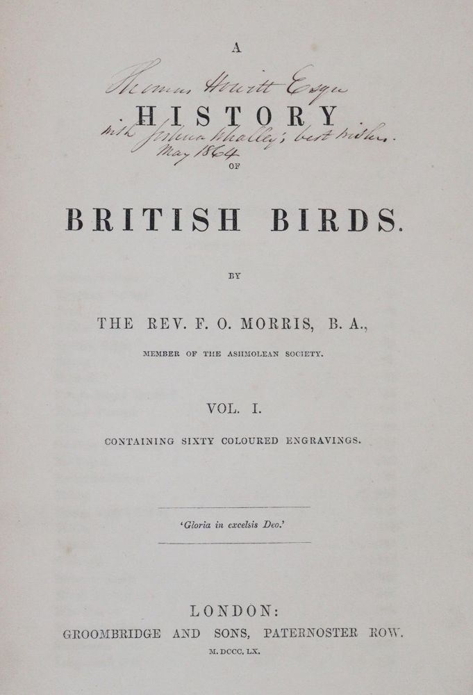 Große Abbildung Nr.12: 144-1474 Morris,F.O.: (Zoologie, Vögel)
