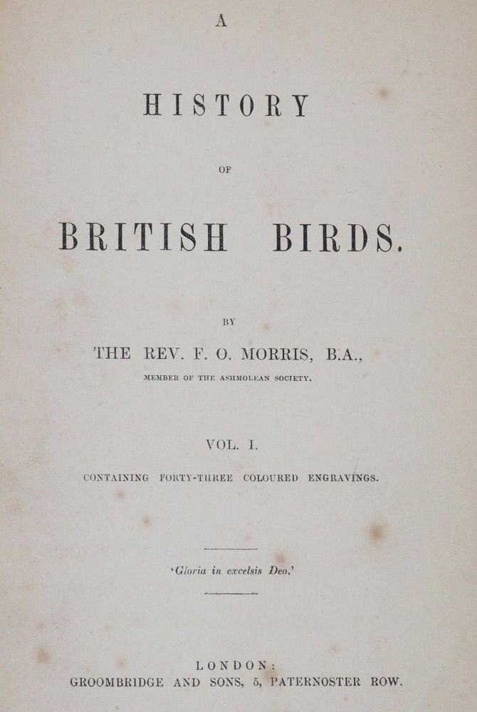 Große Abbildung Nr.10: 144-1475 Morris,F.O.: (Zoologie, Vögel)