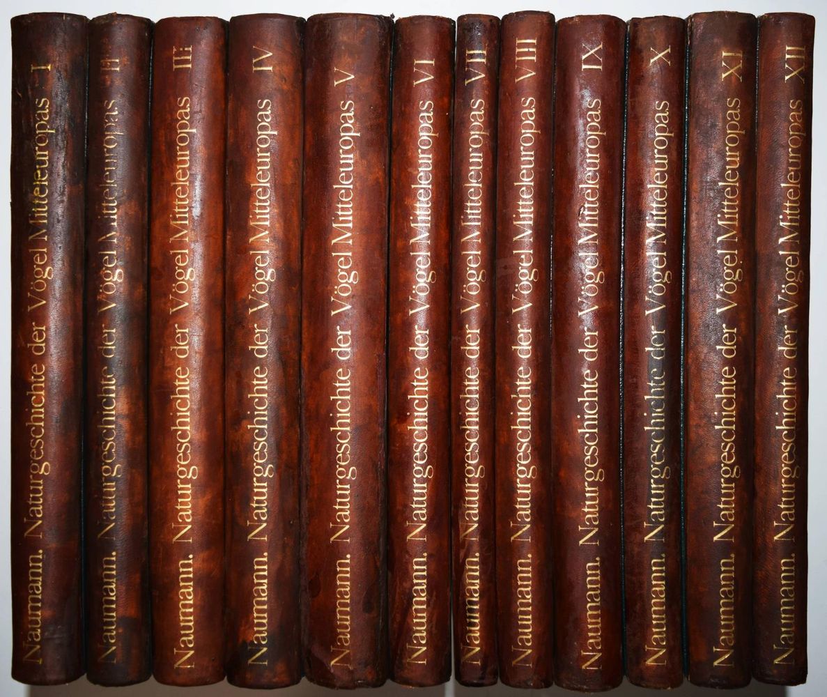 Große Abbildung Nr.1: 144-1476 Naumann,(J.A.).: (Zoologie, Vögel)