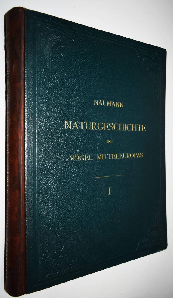 Große Abbildung Nr.2: 144-1476 Naumann,(J.A.).: (Zoologie, Vögel)