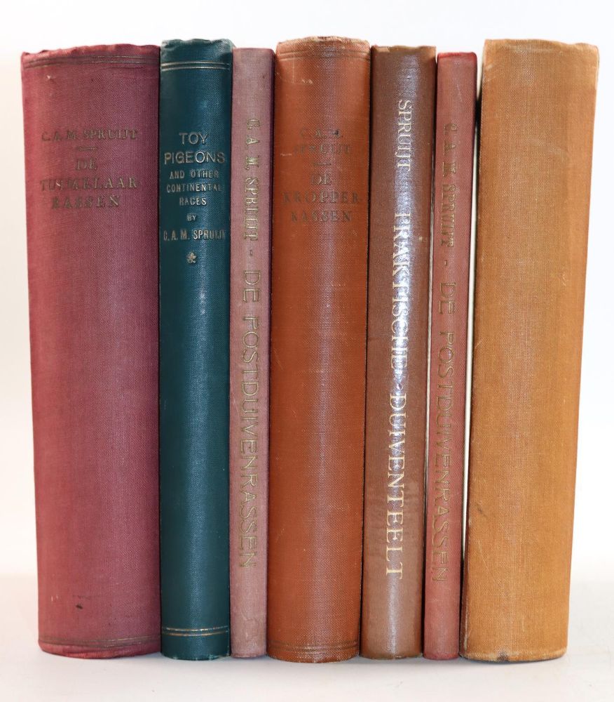Große Abbildung Nr.3: 144-1479 Spruijt,C.A.M.: (Zoologie, Vögel, Tauben)