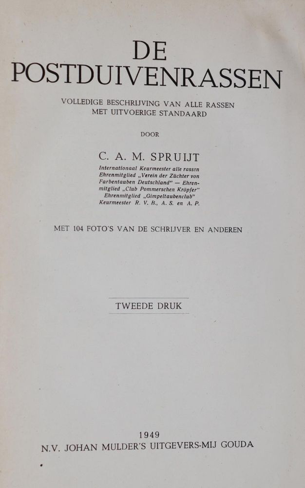 Große Abbildung Nr.4: 144-1479 Spruijt,C.A.M.: (Zoologie, Vögel, Tauben)