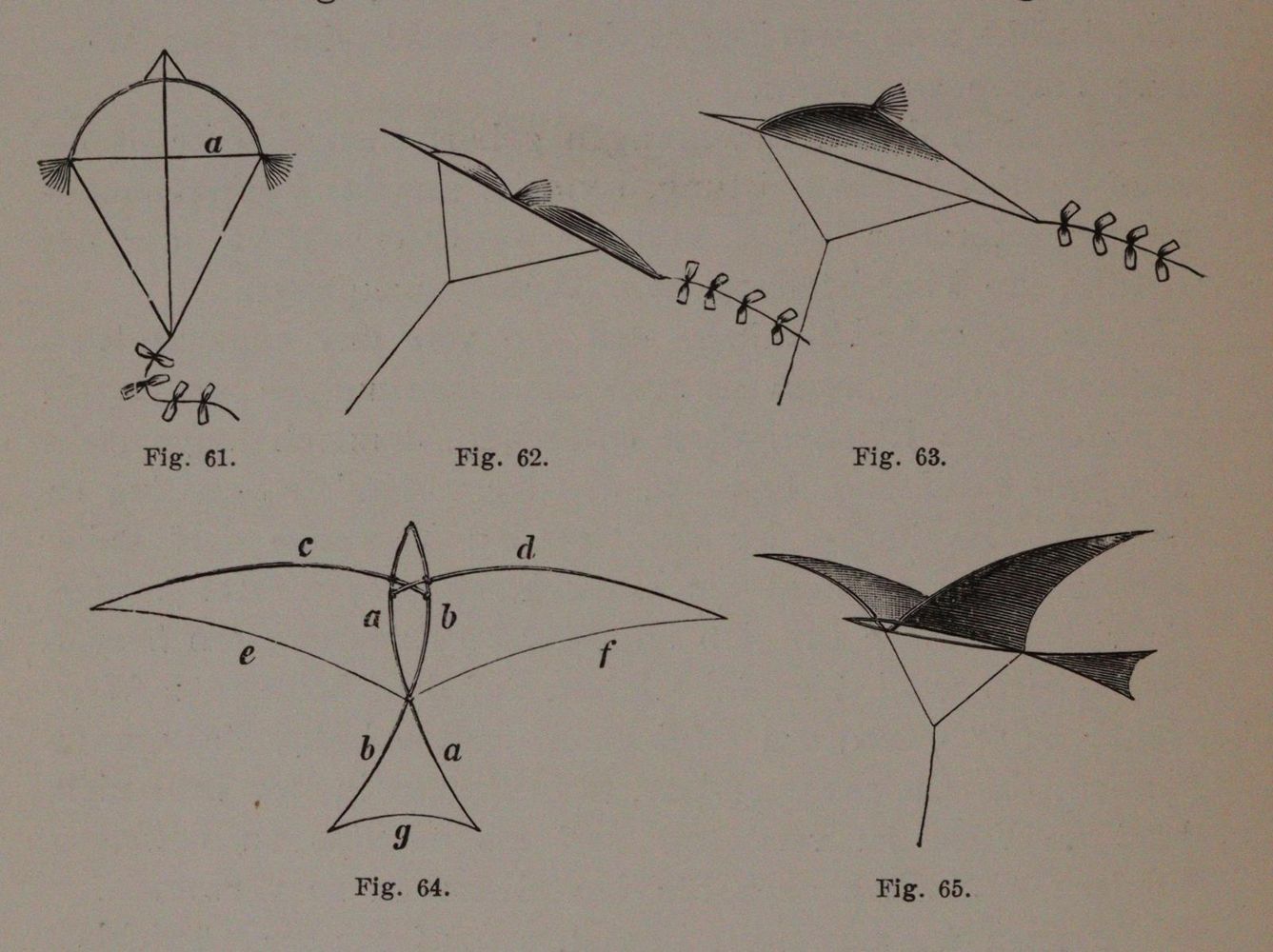 Große Abbildung Nr.5: 144-1486 Lilienthal,O.: (Verschiedene Gebiete - Varia, Aeronautik)