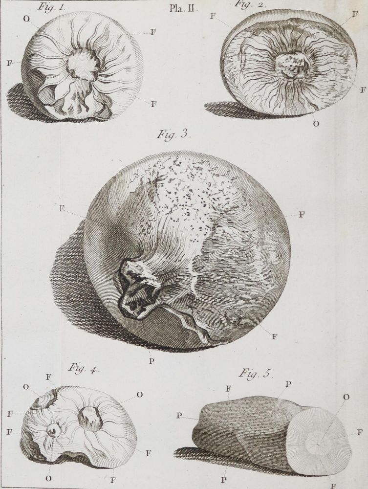 Große Abbildung Nr.2: 144-1550 Histoire de l'academie royale des sciences.: (Verschiedene Gebiete - Varia)