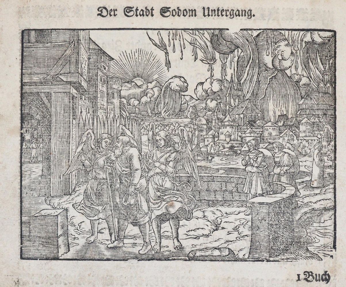 Große Abbildung Nr.2: 144-16 Zeidler,J.G.: (Bibeln, Bilderbibel)