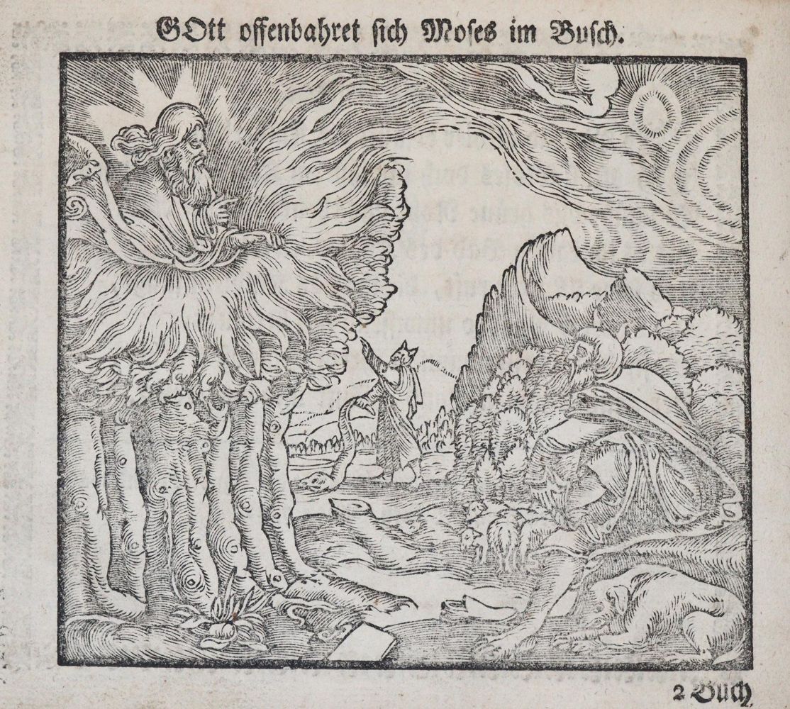 Große Abbildung Nr.4: 144-16 Zeidler,J.G.: (Bibeln, Bilderbibel)
