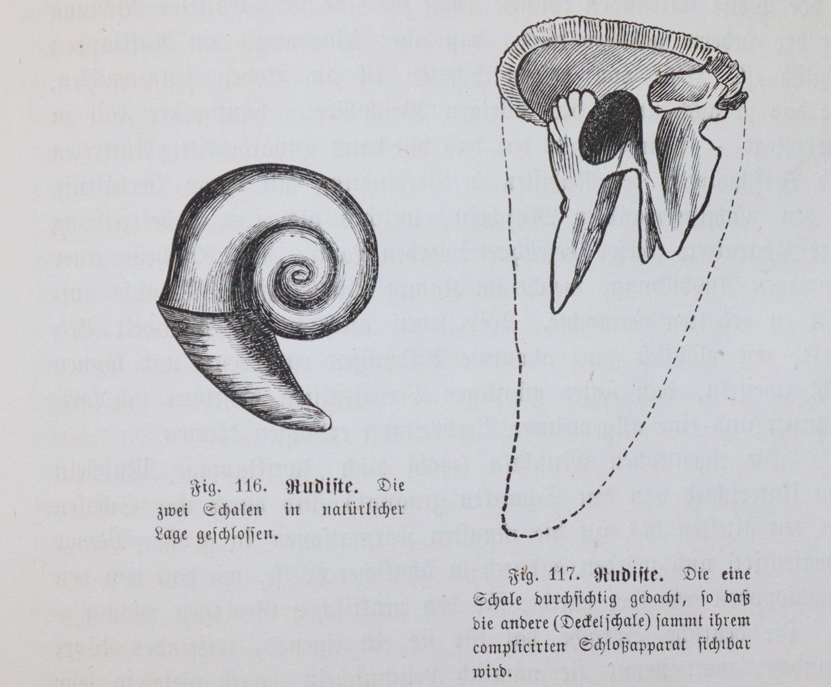 Große Abbildung Nr.3: 144-1638 Ratzel,F.: (Verschiedene Gebiete - Varia)