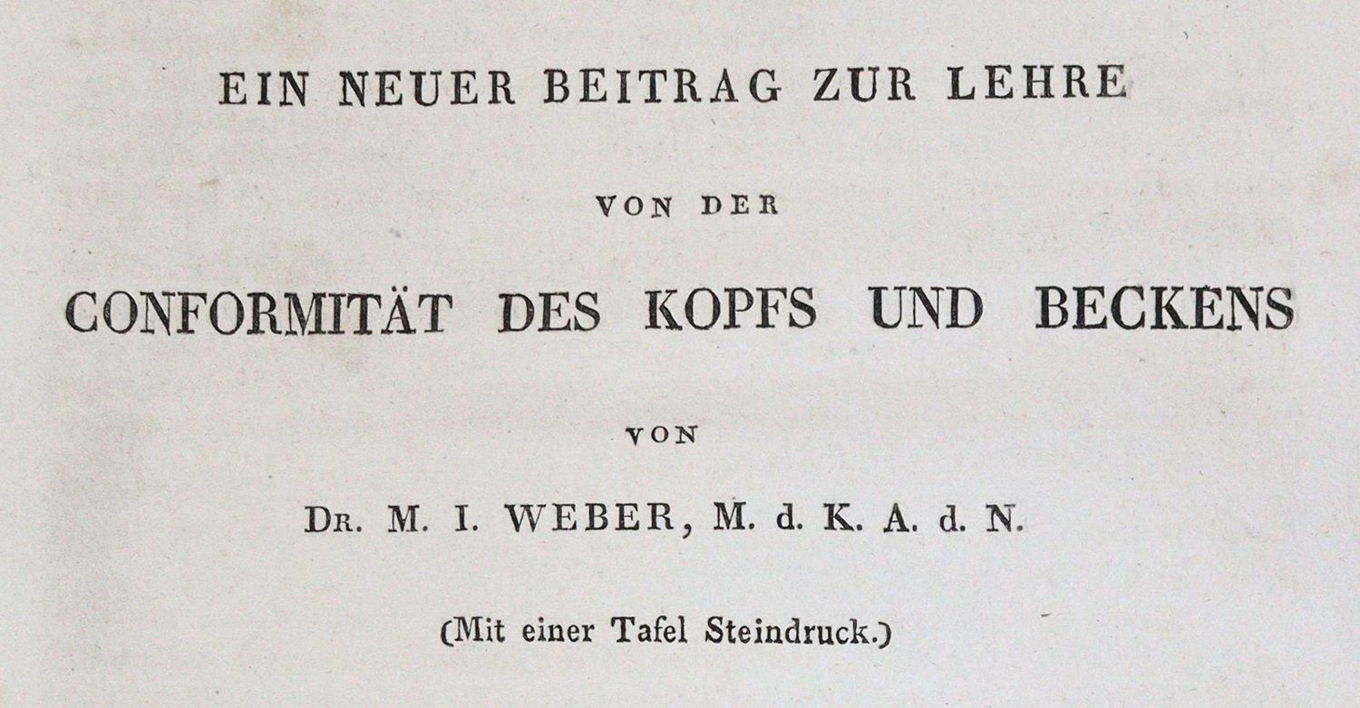 Große Abbildung Nr.1: 144-1645 Sammlung: (Verschiedene Gebiete - Varia)