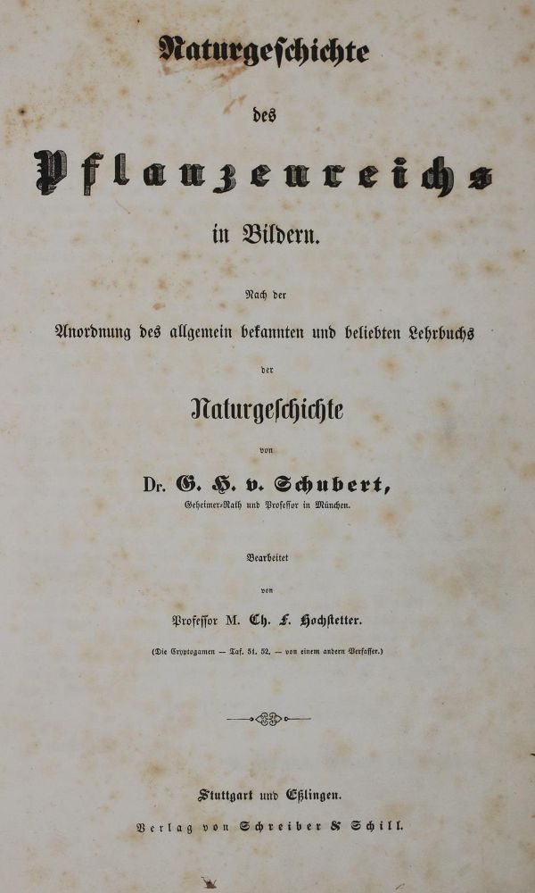 Große Abbildung Nr.10: 144-1649 Schubert,G.H.v.: (Verschiedene Gebiete - Varia)