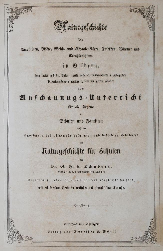 Große Abbildung Nr.3: 144-1649 Schubert,G.H.v.: (Verschiedene Gebiete - Varia)