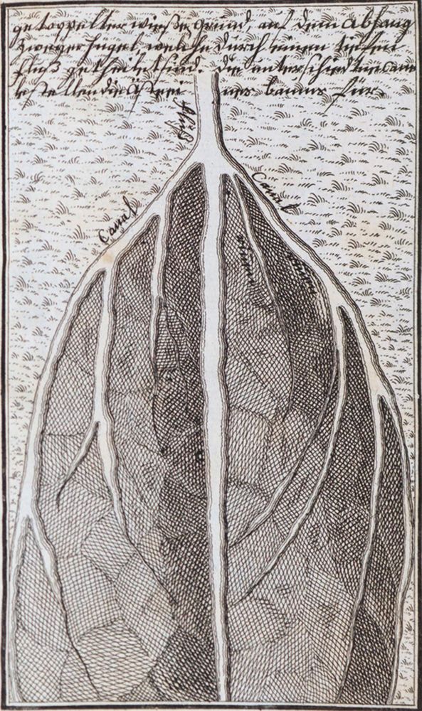Große Abbildung Nr.2: 144-1667 Bertrand,M.J.: (Verschiedene Gebiete - Varia, Wasserbau)