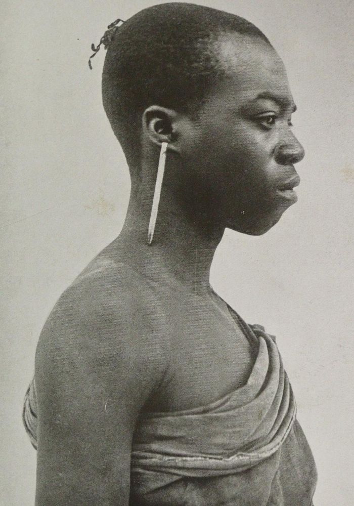 Große Abbildung Nr.3: 144-1674 Kolonien.: (Afrika)