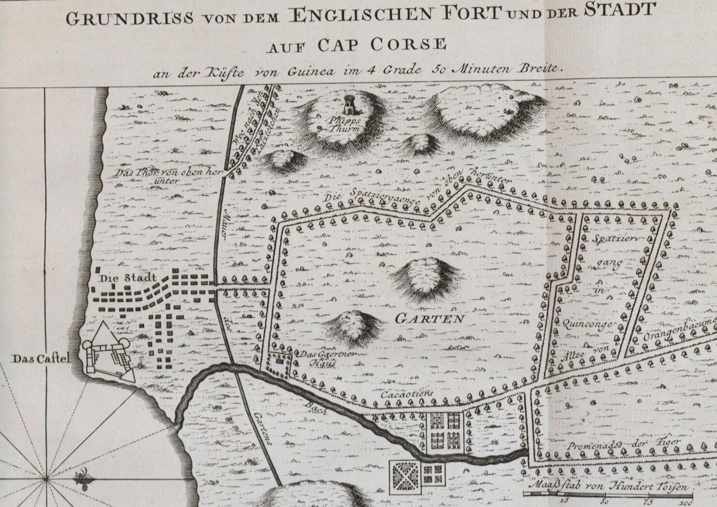 Große Abbildung Nr.3: 144-1680 (Schwabe,J.J.).: (Afrika)