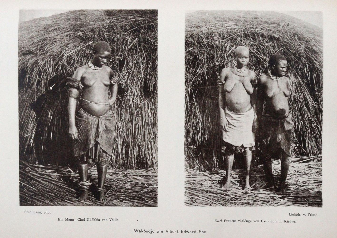 Große Abbildung Nr.5: 144-1681 Stuhlmann,F.: (Afrika)