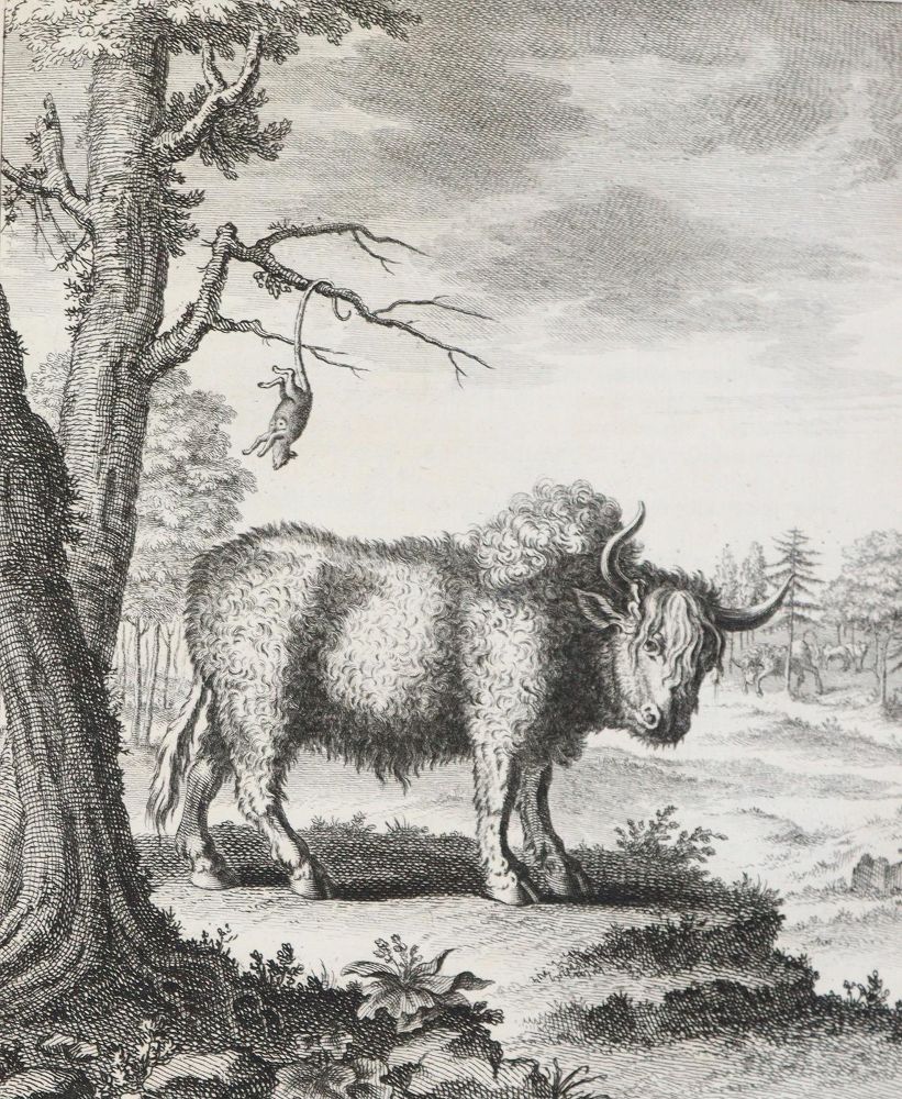 Große Abbildung Nr.3: 144-1704 (Schwabe,J.J. Hrsg.).: (Amerika)