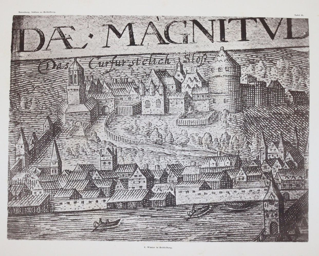 Große Abbildung Nr.3: 144-1824 Rosenberg,M. (Hrsg.).: (Deutschland, Heidelberg)