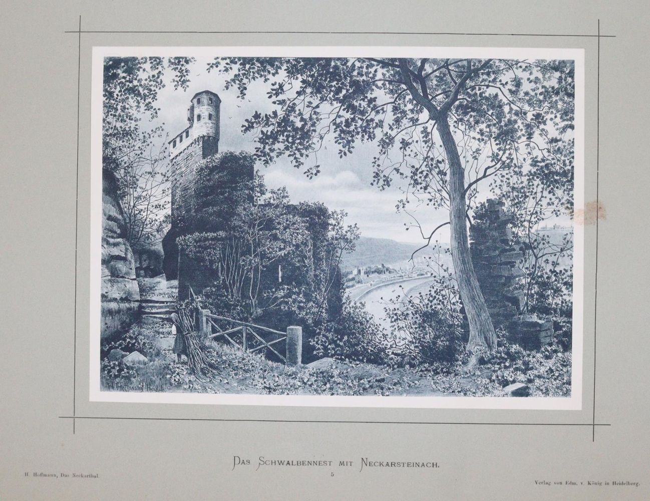 Große Abbildung Nr.5: 144-1856 Hoffmann,H.: (Deutschland, Neckartal)