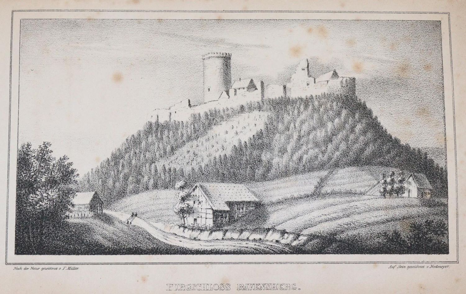 Große Abbildung Nr.2: 144-1872 Müller,F.: (Deutschland, Ravensburg)