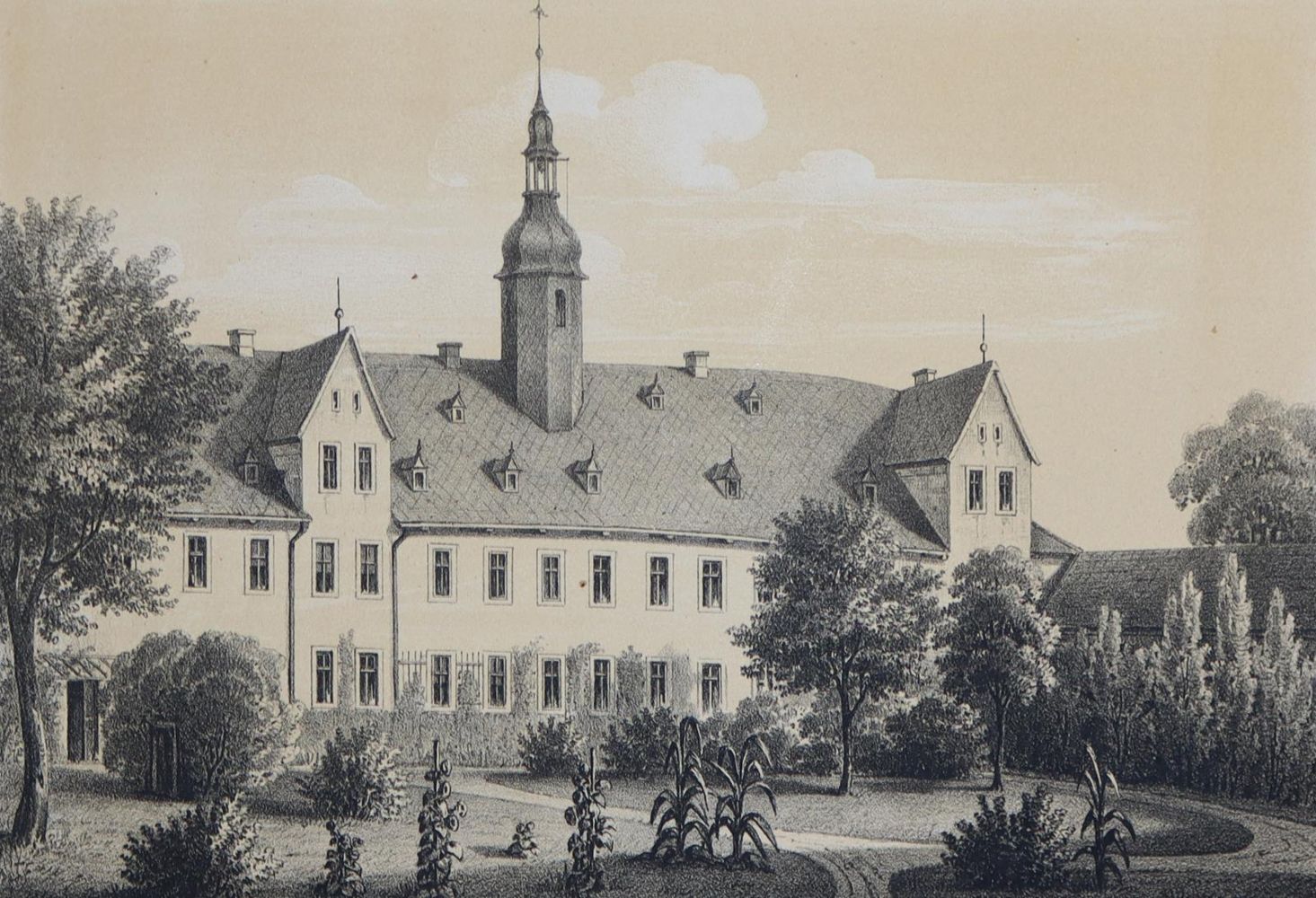 Große Abbildung Nr.3: 144-1888 Poenicke,G.A.: (Deutschland, Sachsen)