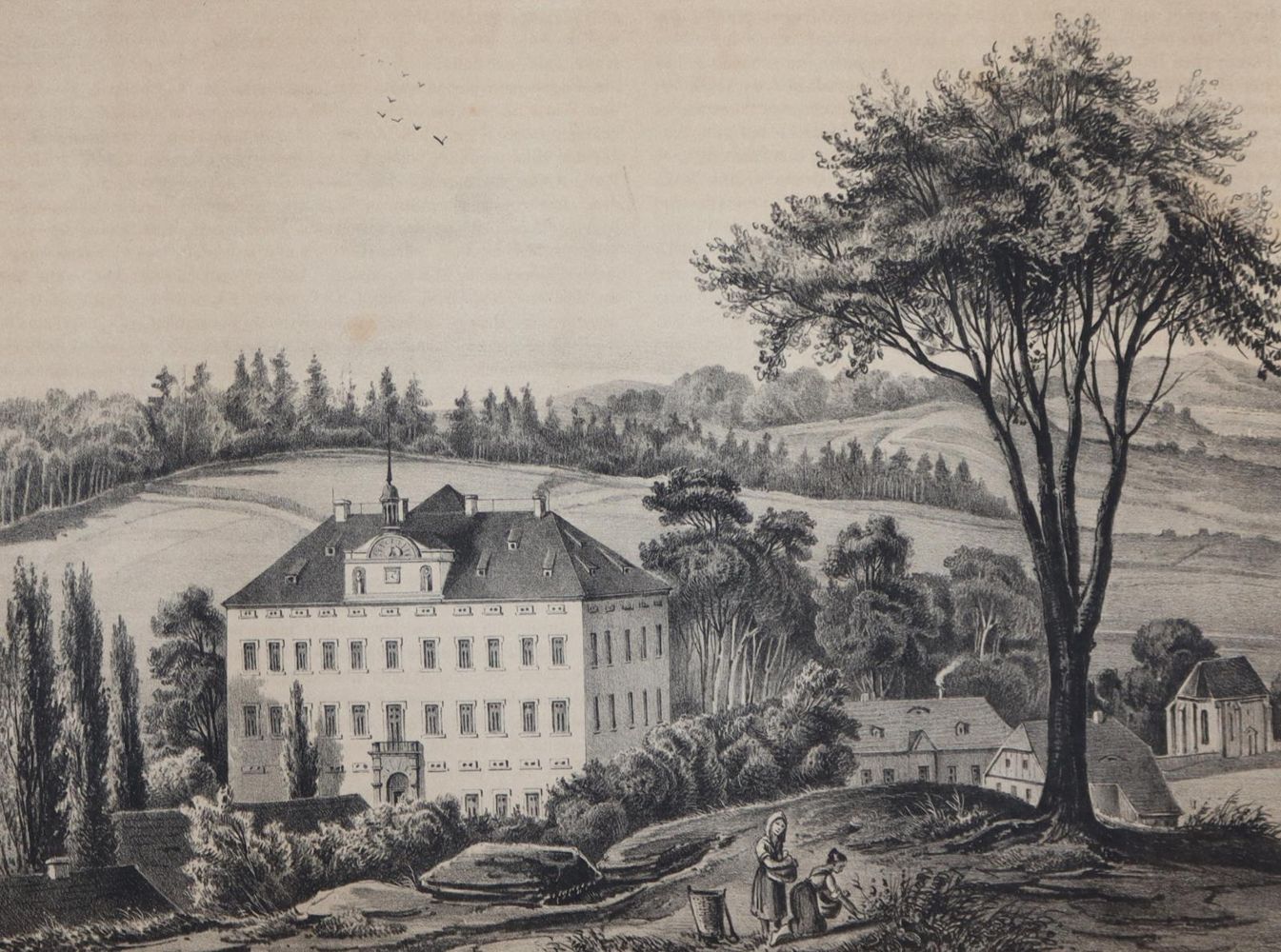 Große Abbildung Nr.7: 144-1888 Poenicke,G.A.: (Deutschland, Sachsen)