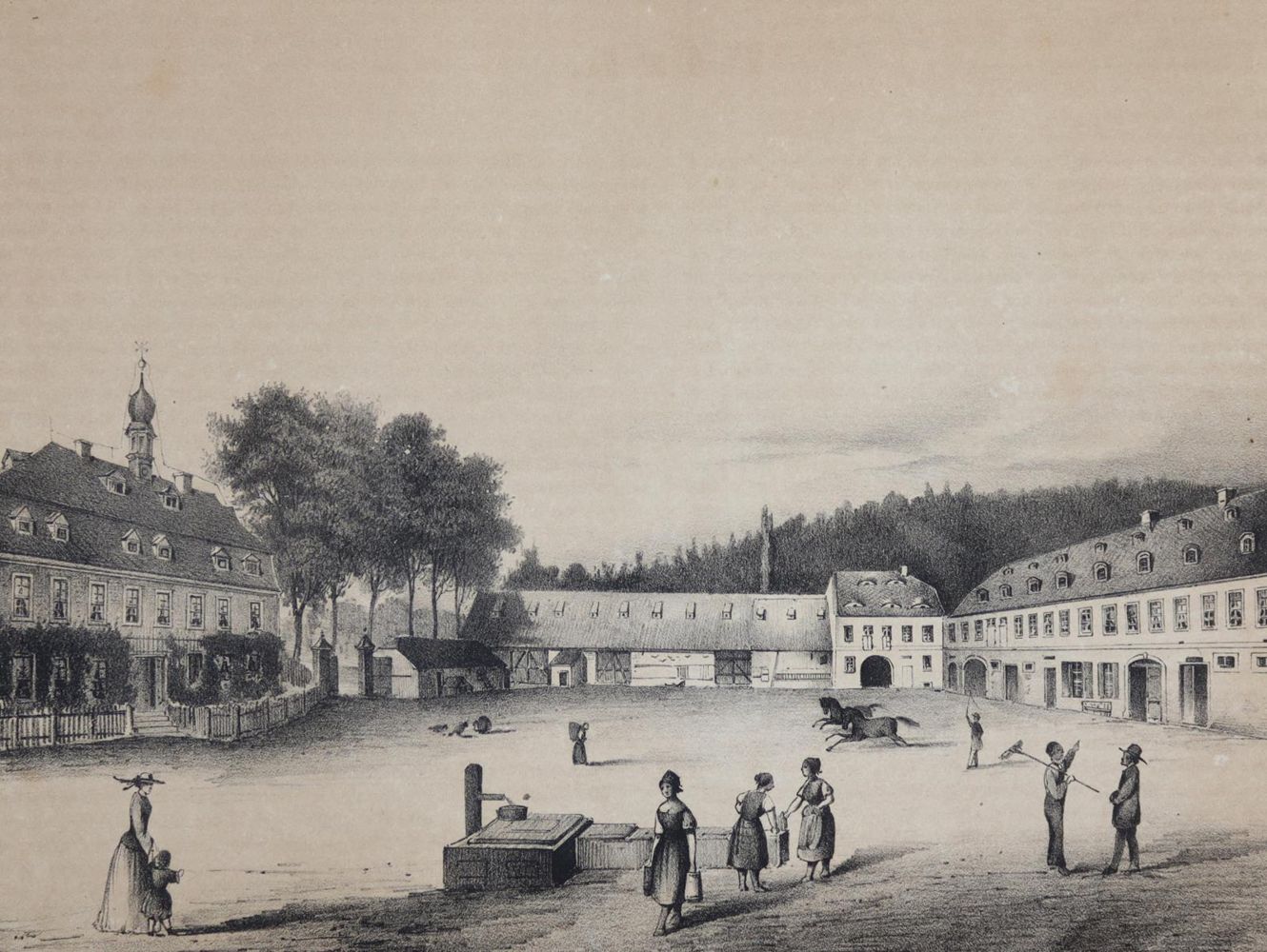 Große Abbildung Nr.8: 144-1888 Poenicke,G.A.: (Deutschland, Sachsen)