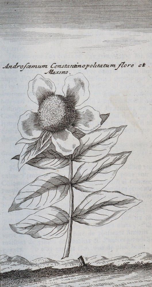 Große Abbildung Nr.4: 144-2115 Wheler,G.: (Verschiedene Länder - Geschichte, Griechenland)