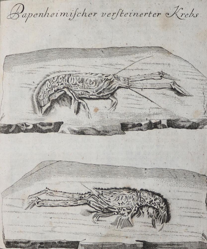 Große Abbildung Nr.5: 144-2126 Keyßler,J.G.: (Verschiedene Länder - Geschichte)