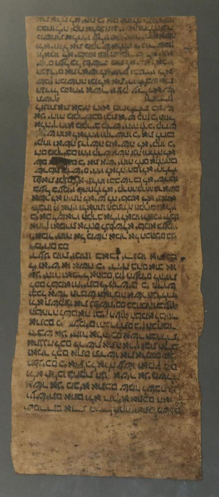 Große Abbildung Nr.4: 144-2278 Koptische Textilfragmente.: (Varia, Textil)