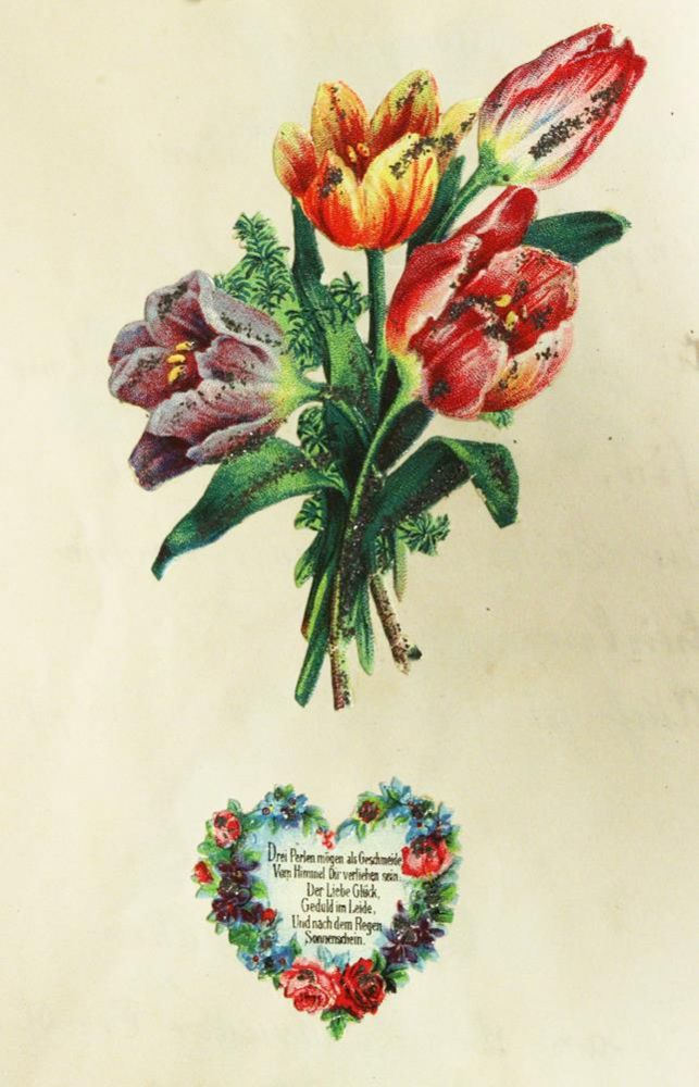 Große Abbildung Nr.1: 144-267 Poesiealben.: (Handschriften)