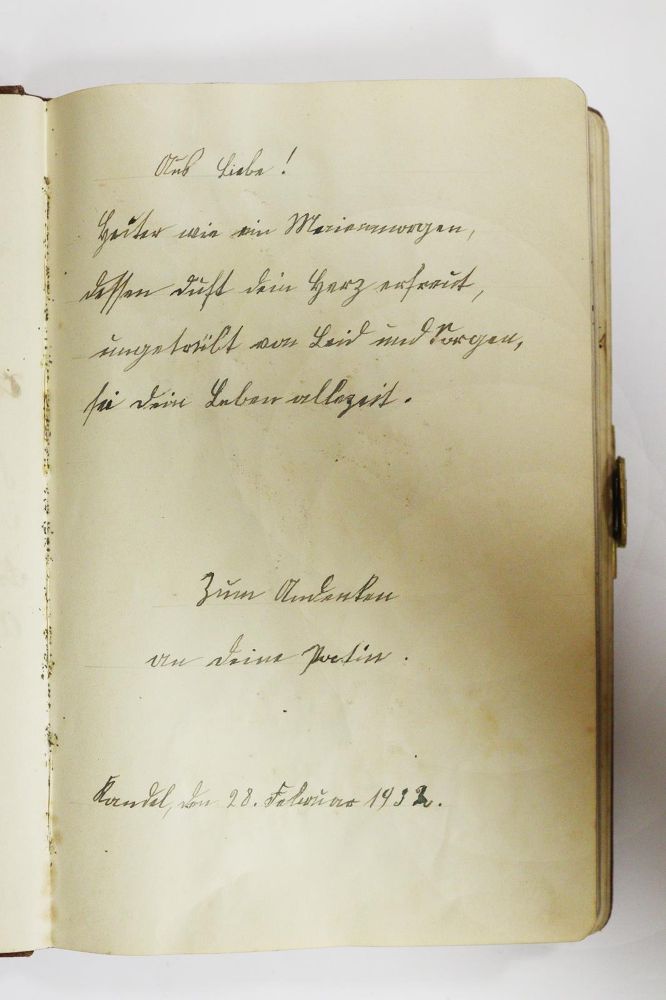 Große Abbildung Nr.5: 144-267 Poesiealben.: (Handschriften)