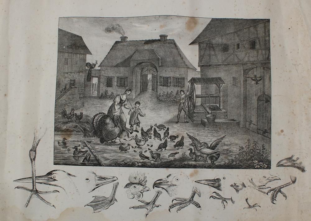Große Abbildung Nr.3: 144-2760 Bauernhof.: (Varia, Anschauungsbilder)