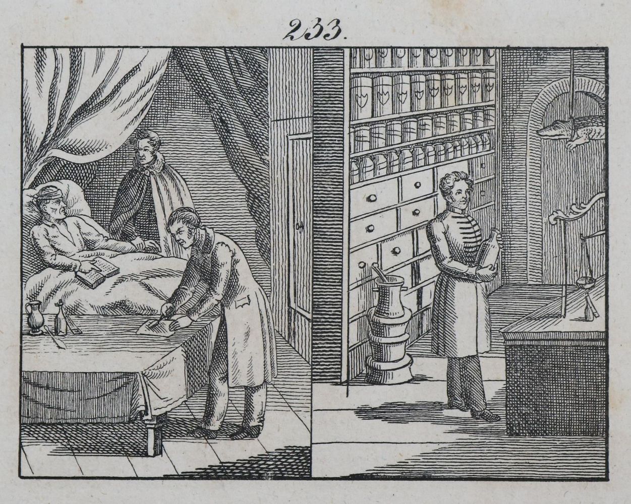 Große Abbildung Nr.5: 144-2768 Sammlung: (Varia, Berufe)