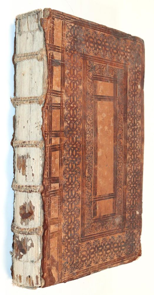 Große Abbildung Nr.2: 144-280 Gomez,A.: (Juridica und Kriminologie)
