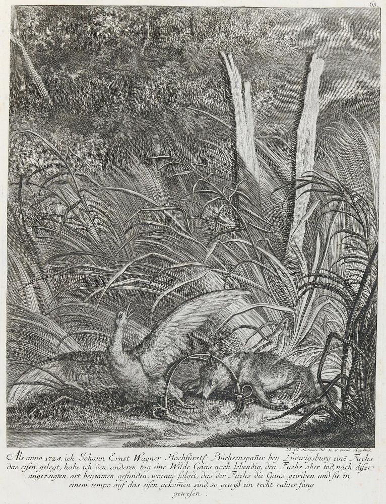 Große Abbildung Nr.1: 144-2811 Ridinger,E.J.: (Varia, Jagd, Füchse)