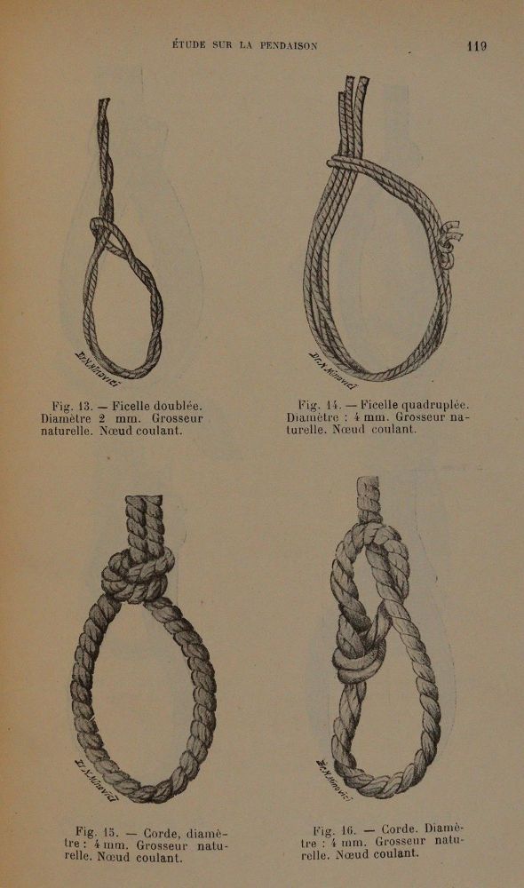 Große Abbildung Nr.3: 144-282 Minovici,N.S.: (Juridica und Kriminologie)