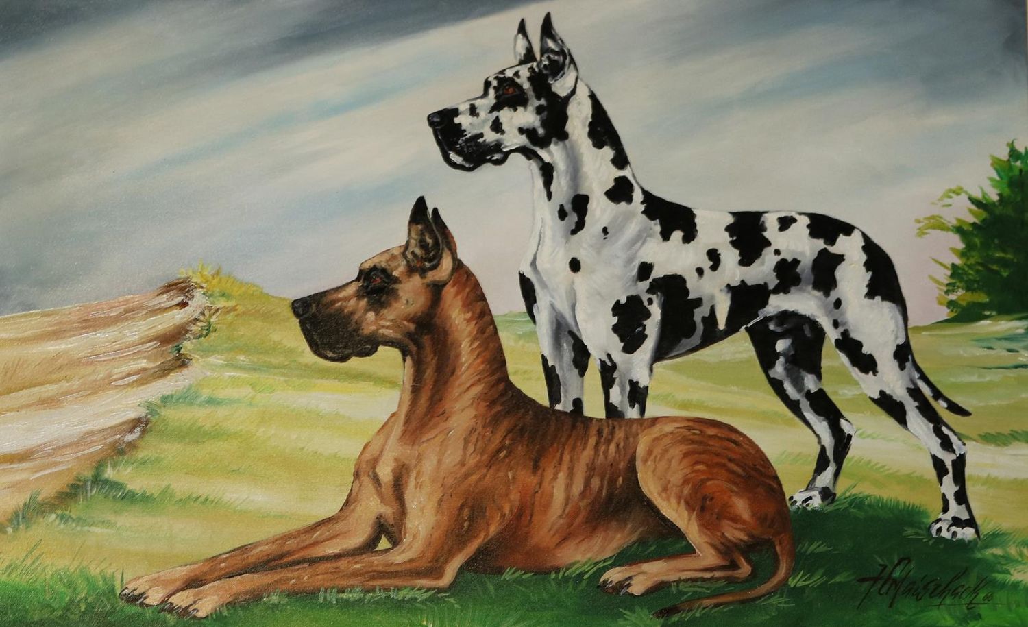 Große Abbildung Nr.1: 144-2875 Hunde.: (Varia, Zoologie)