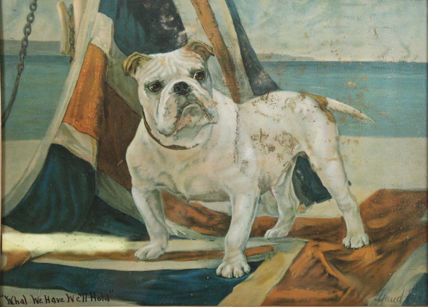 Große Abbildung Nr.10: 144-2876 Mops und Bulldogge.: (Varia, Zoologie, Hunde)
